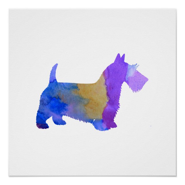 Scottish Terrier Poster (Front)