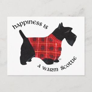 Scottish Terrier Red & Black Plaid Sweater Postcard