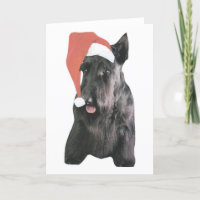 Scottish Terrier Santa Hat Christmas