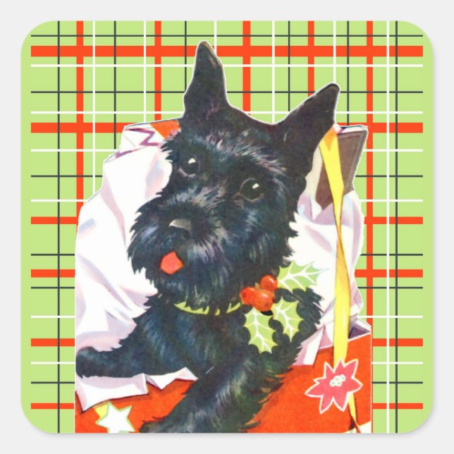 Scottish Terrier Scottie with green plaid stickers (Front)