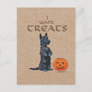 Scottish Terrier Sits Up for Treats! Postcard