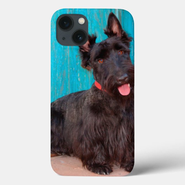 Scottish Terrier sitting by colourful doorway Case-Mate iPhone Case (Back)