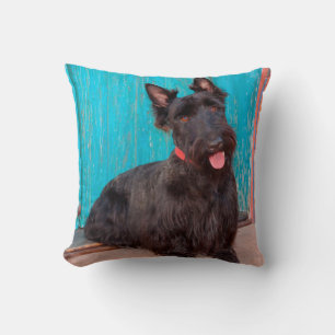 Scottish Terrier sitting by colourful doorway Throw Pillow