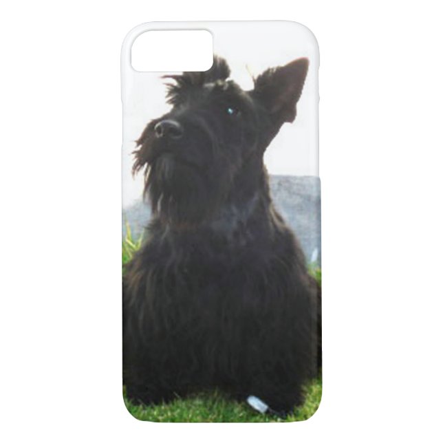 Scottish_Terrier sitting.png Case-Mate iPhone Case (Back)