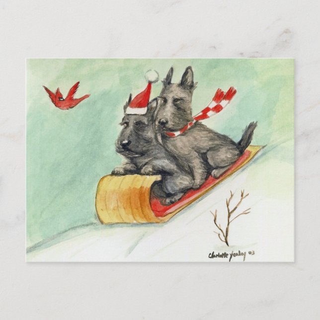 Scottish Terrier Sleigh Ride Art Postcard (Front)