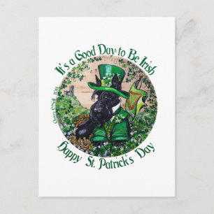 Scottish Terrier St. Patrick's Day Postcard