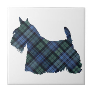Scottish Terrier Tartan Silhouette Tile