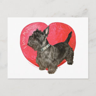 Scottish Terrier Valentine Holiday Postcard