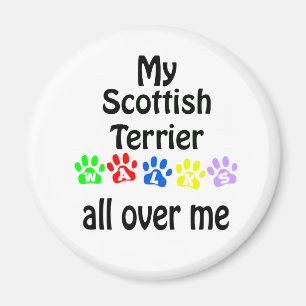 Scottish Terrier Walks Design Magnet