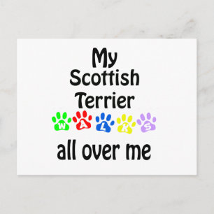 Scottish Terrier Walks Design Postcard
