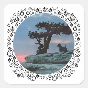 Scottish Terrier Watches the Sunset Square Sticker