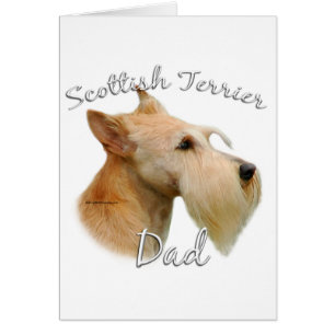 Scottish Terrier (wheaten) Dad 2