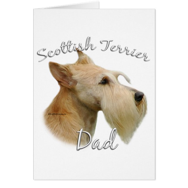 Scottish Terrier (wheaten) Dad 2 (Front)