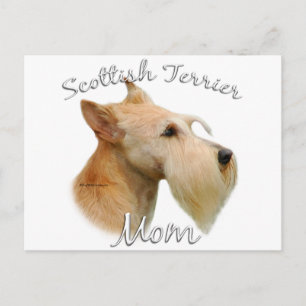 Scottish Terrier (wheaten) Mom 2 Postcard