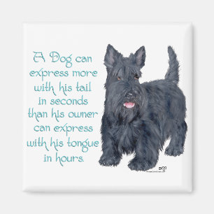 Scottish Terrier Wit & Wisdom - Talking Magnet