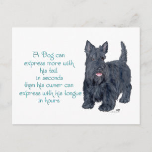 Scottish Terrier Wit & Wisdom - Talking Postcard