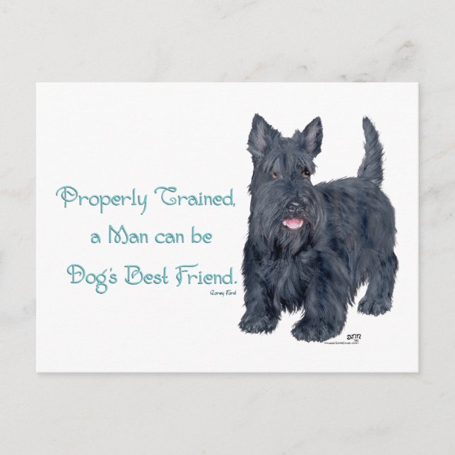 Scottish Terrier Wit & Wisdom - Training Postcard (Front)