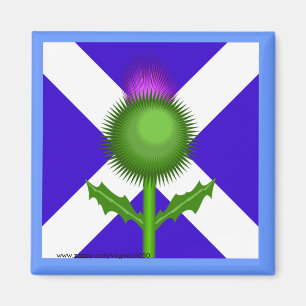 Scottish Thistle and Flag Magnet