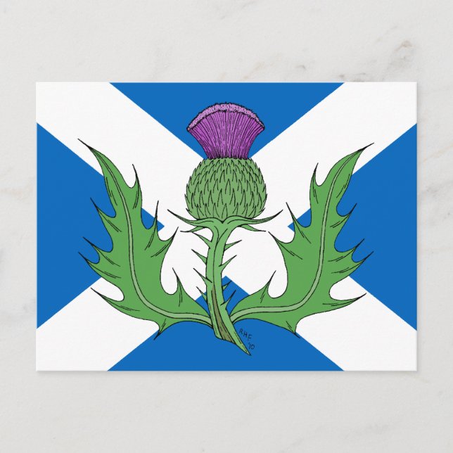 Scottish Thistle and Saltire Postcard (Front)
