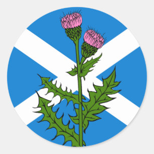Scottish thistle classic round sticker