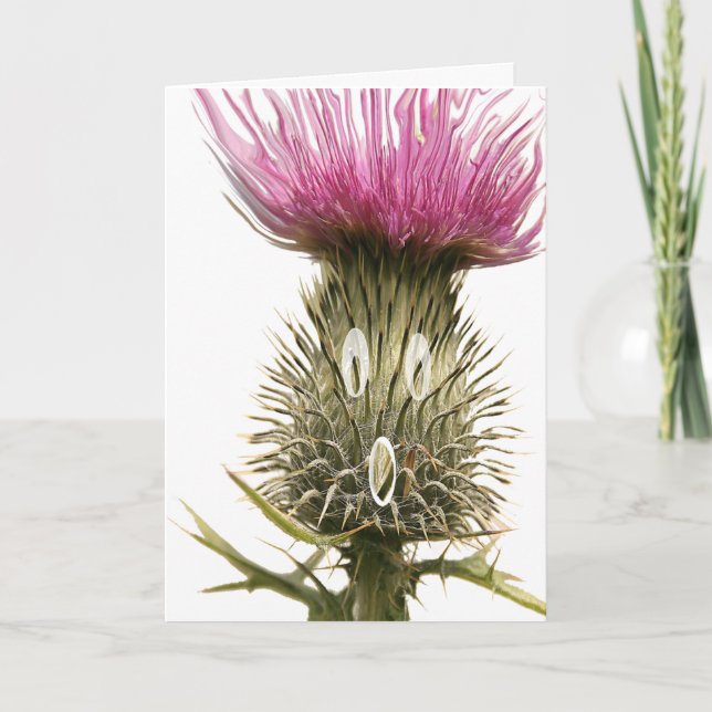 Scottish Thistle Greetings Card (Front)