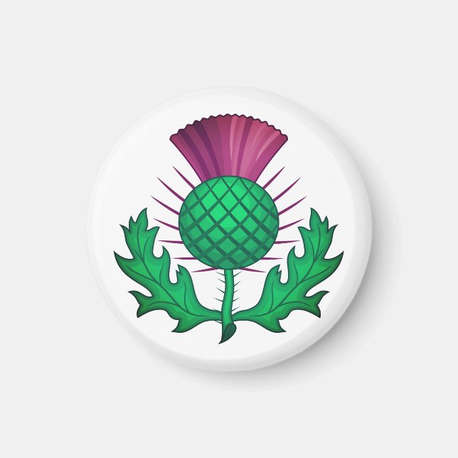 Scottish Thistle Magnet (Front)