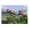 Scottish thistle