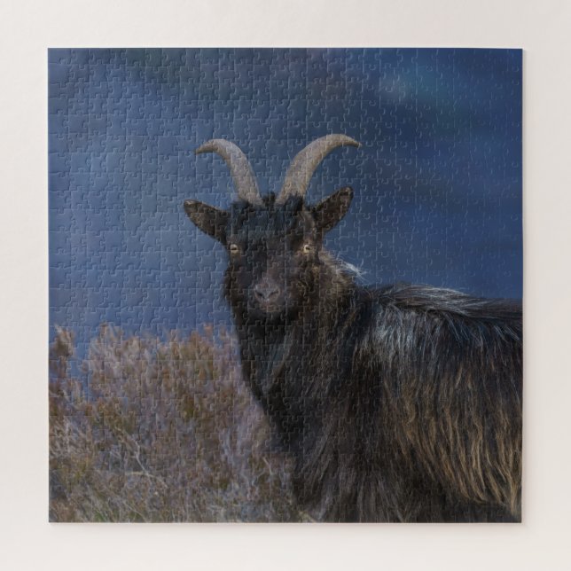 Scottish Wild Goat Jigsaw Puzzle (Vertical)