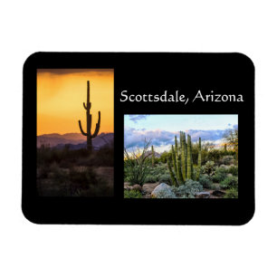 Scottsdale landscape duet magnet
