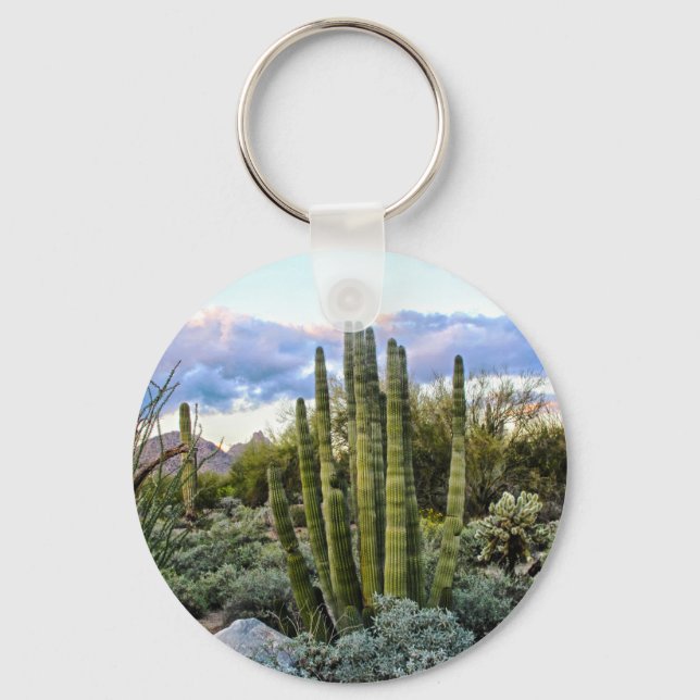 Scottsdale succulent Sunset Keychain (Front)