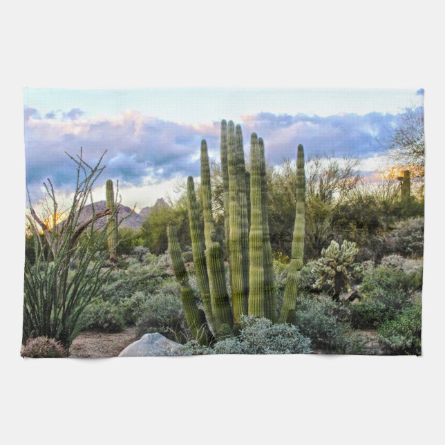 Scottsdale Succulent Sunset Kitchen Towel (Horizontal)