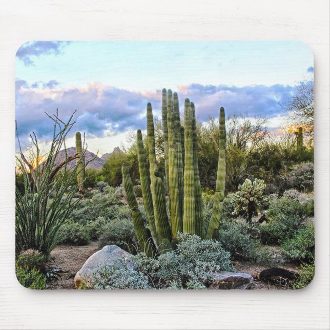 Scottsdale Succulent Sunset Mouse Pad (Front)