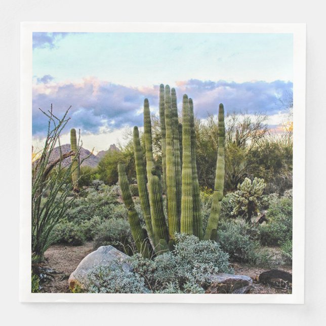 Scottsdale Succulent Sunset Napkin (Front)