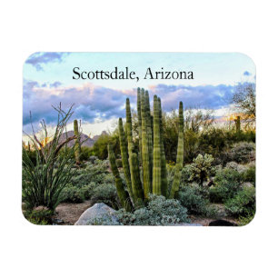 Scottsdale Succulent Sunset, Scottsdale, Arizona Magnet