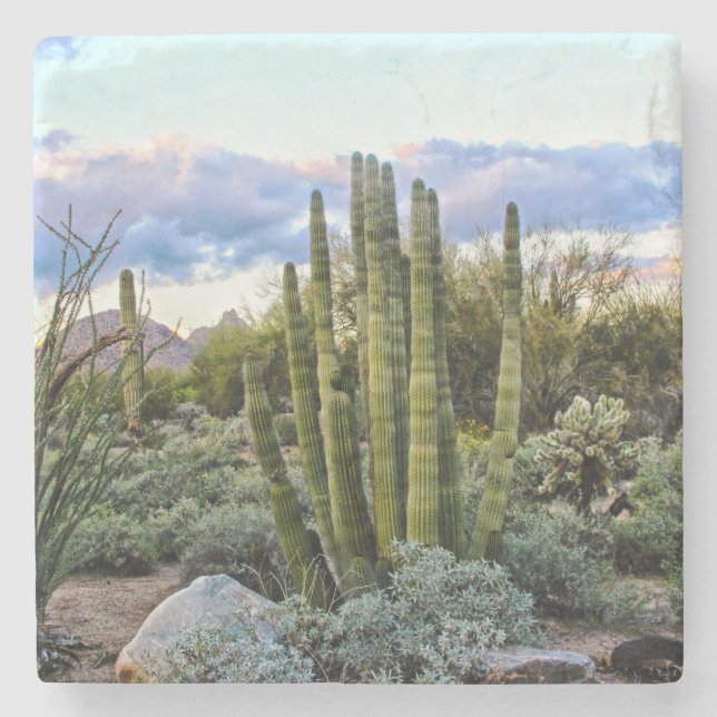 Scottsdale Succulent Sunset Stone Coaster (Front)