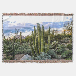 Scottsdale Succulent Sunset Throw Blanket