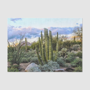 Scottsdale Succulent Sunset Tissue Paper