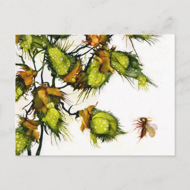 "Scout" postcard by JAC (Front)