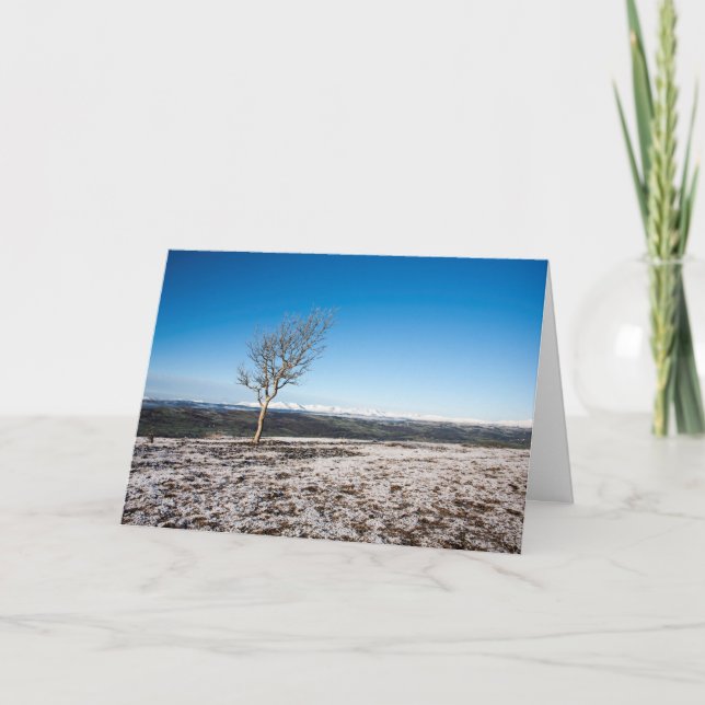 Scout Scar Holiday Card (Front)