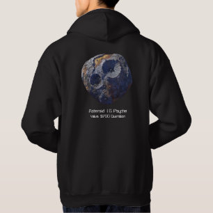 Scouting Mission to Asteroid 16 Psyche Hoodie