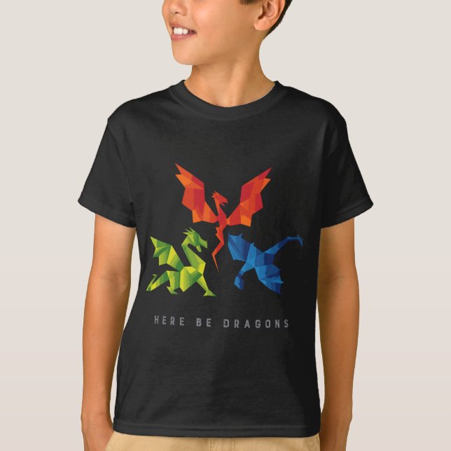 SCP-1762 Where The Dragons Went Origami Style Drag T-Shirt (Front)