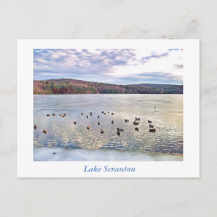 Scranton PA-Lake Scranton Post Card-Ducks Postcard