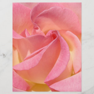 Scrapbook paper Pink Rose Flower Spiral custom