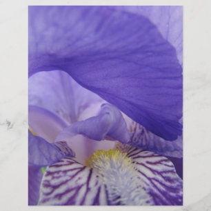 Scrapbook paper Purple Iris Flowers Irises Floral