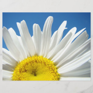 Scrapbook paper White Daisy Flowers Blue Sky