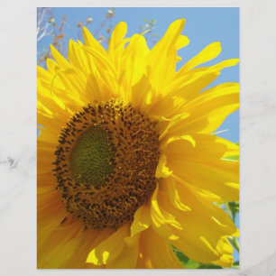 Scrapbook paper Yellow Sunflower Garden