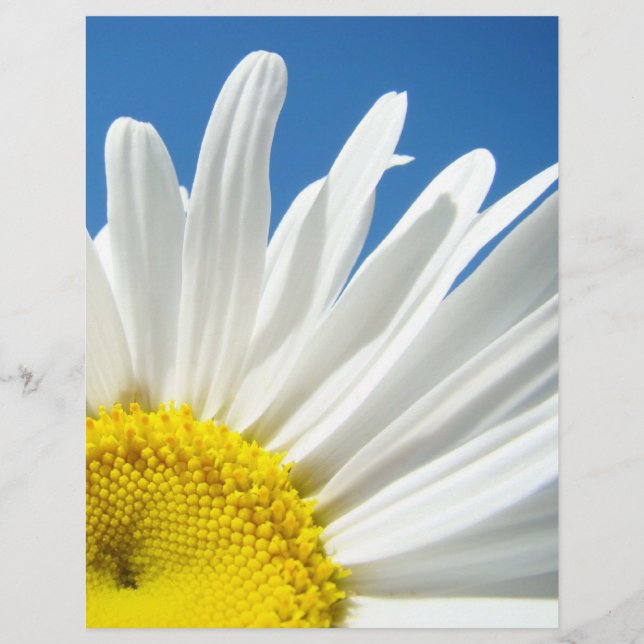 Scrapbook theme paper Floral White Daisy Flowers (Front)