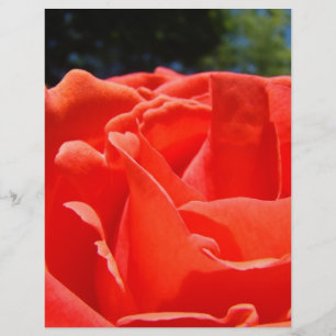 Scrapbooking paper Red Rose Flower Garden