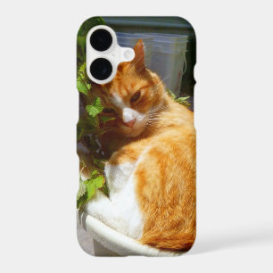 Scrapper in a pot Case-Mate samsung galaxy case
