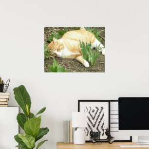 Scrapper in the garden poster